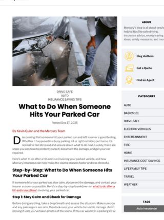 thumbnail of portfolio item